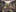 32608 Ext 11 Small