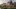 News Letter Ext 02 Small 650X277